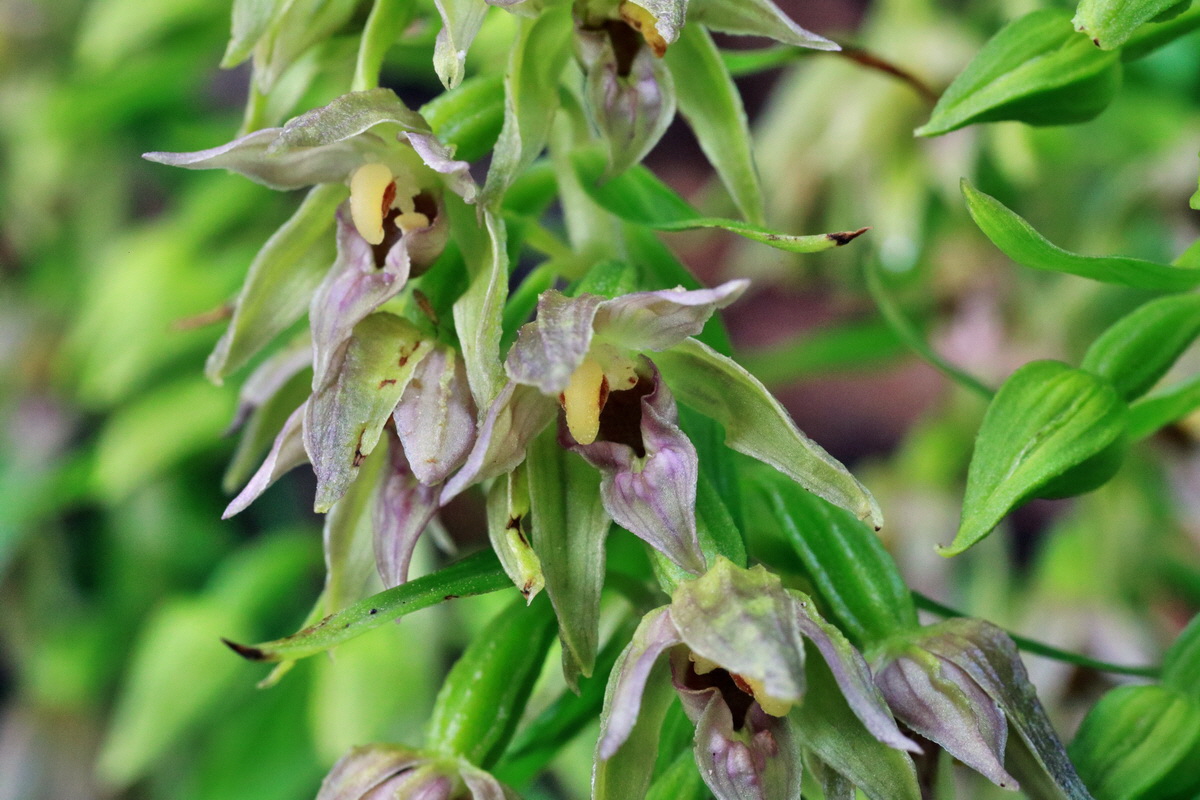 2015_07_20_008754p_Bildgr��e �ndern