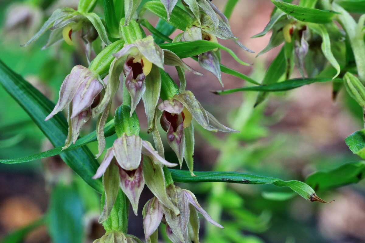 2015_07_20_008759p_Bildgr��e �ndern