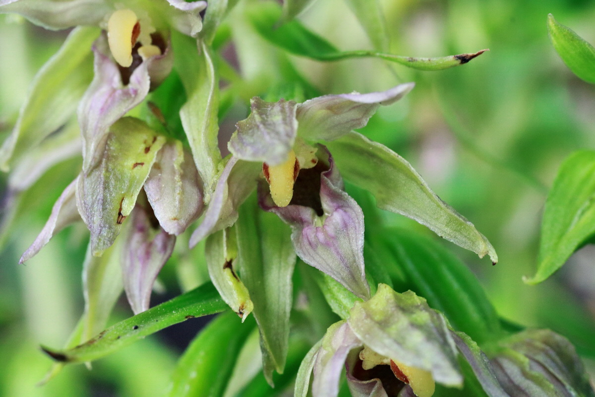 2015_07_20_008771p_Bildgr��e �ndern