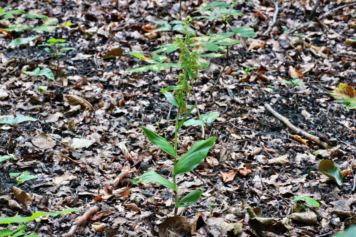 2015_07_20_008784p_Bildgr��e �ndern