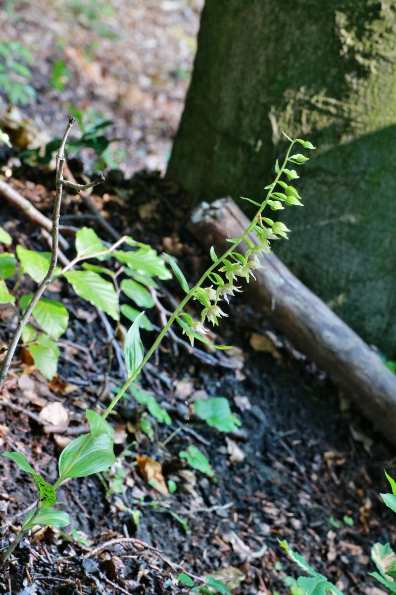 2015_07_20_008790p_Bildgr��e �ndern