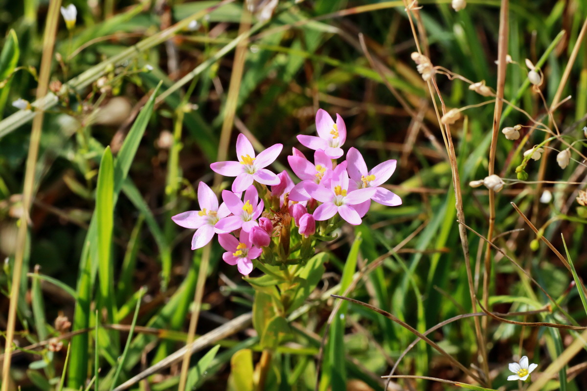 2015_07_20_008792p_Bildgr��e �ndern