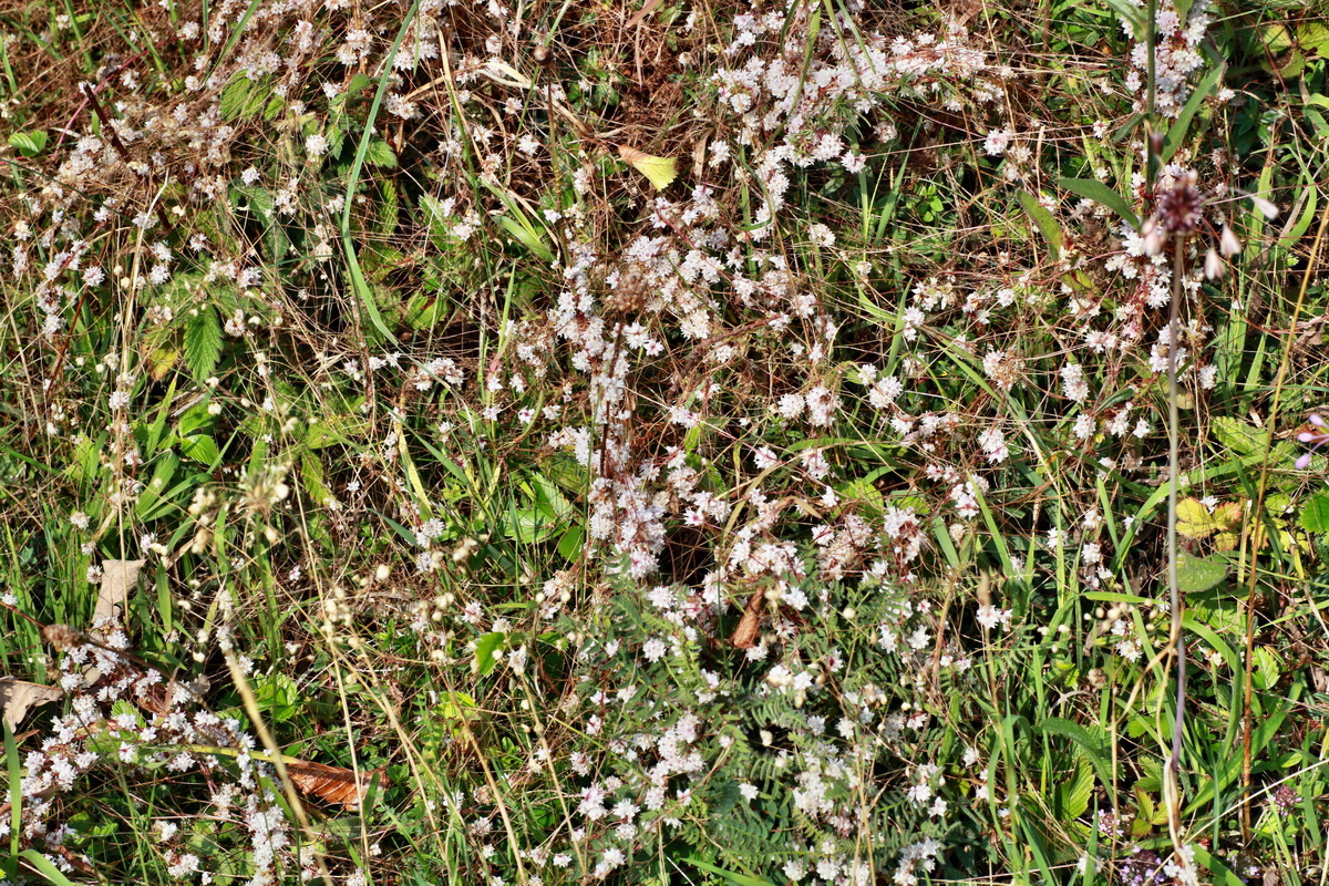 2015_07_20_008803p_Bildgr��e �ndern