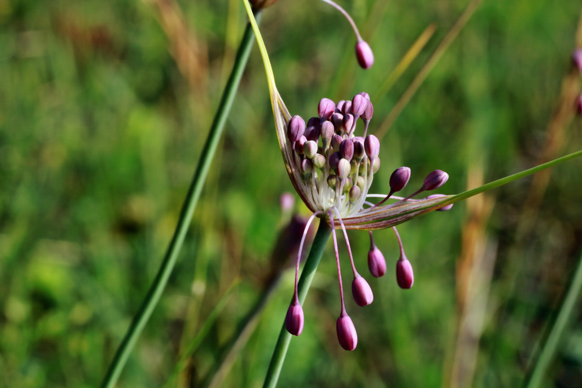 2015_07_20_008805p_Bildgr��e �ndern