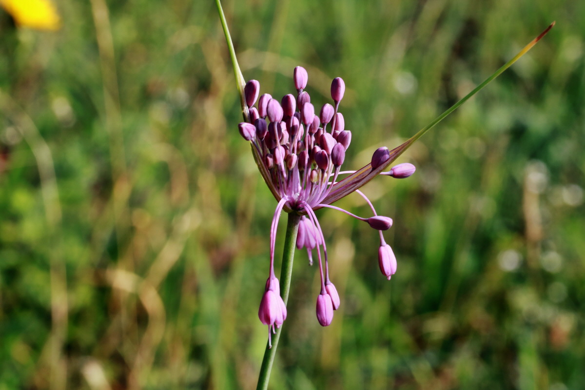 2015_07_20_008808p_Bildgr��e �ndern