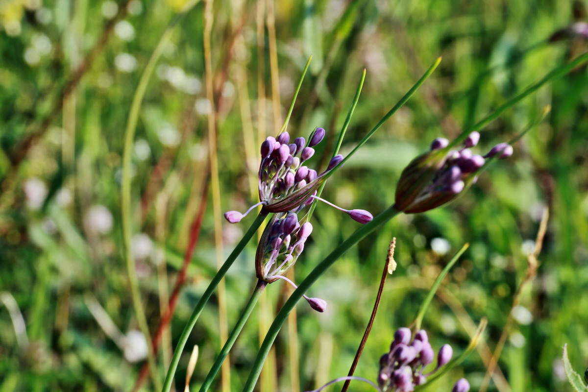 2015_07_20_008811p_Bildgr��e �ndern