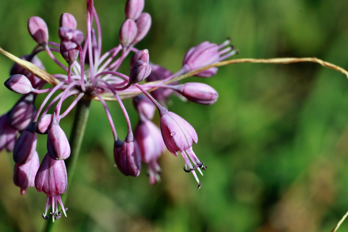 2015_07_20_008828p_Bildgr��e �ndern