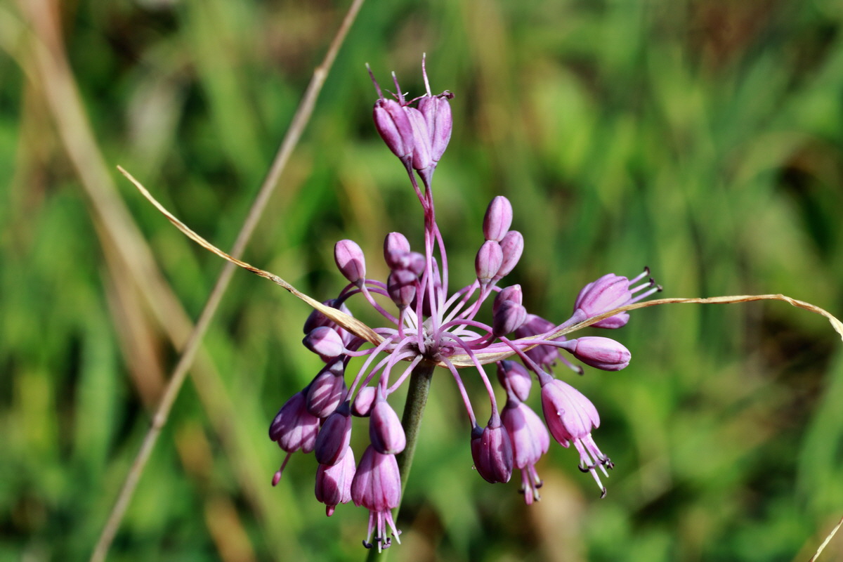 2015_07_20_008834p_Bildgr��e �ndern