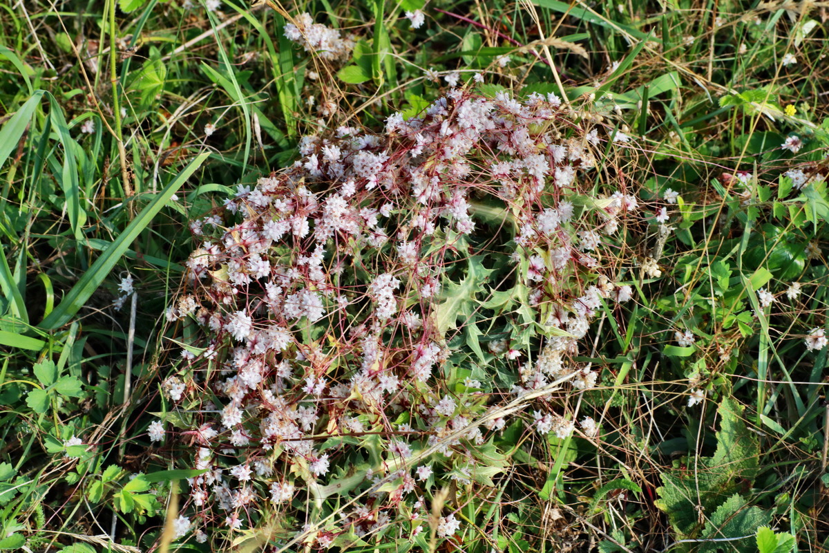 2015_07_20_008836p_Bildgr��e �ndern