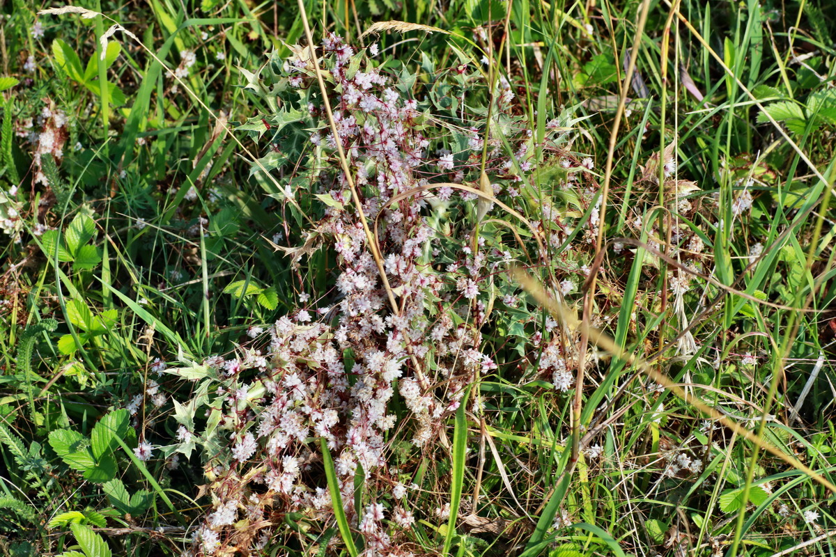 2015_07_20_008838p_Bildgr��e �ndern