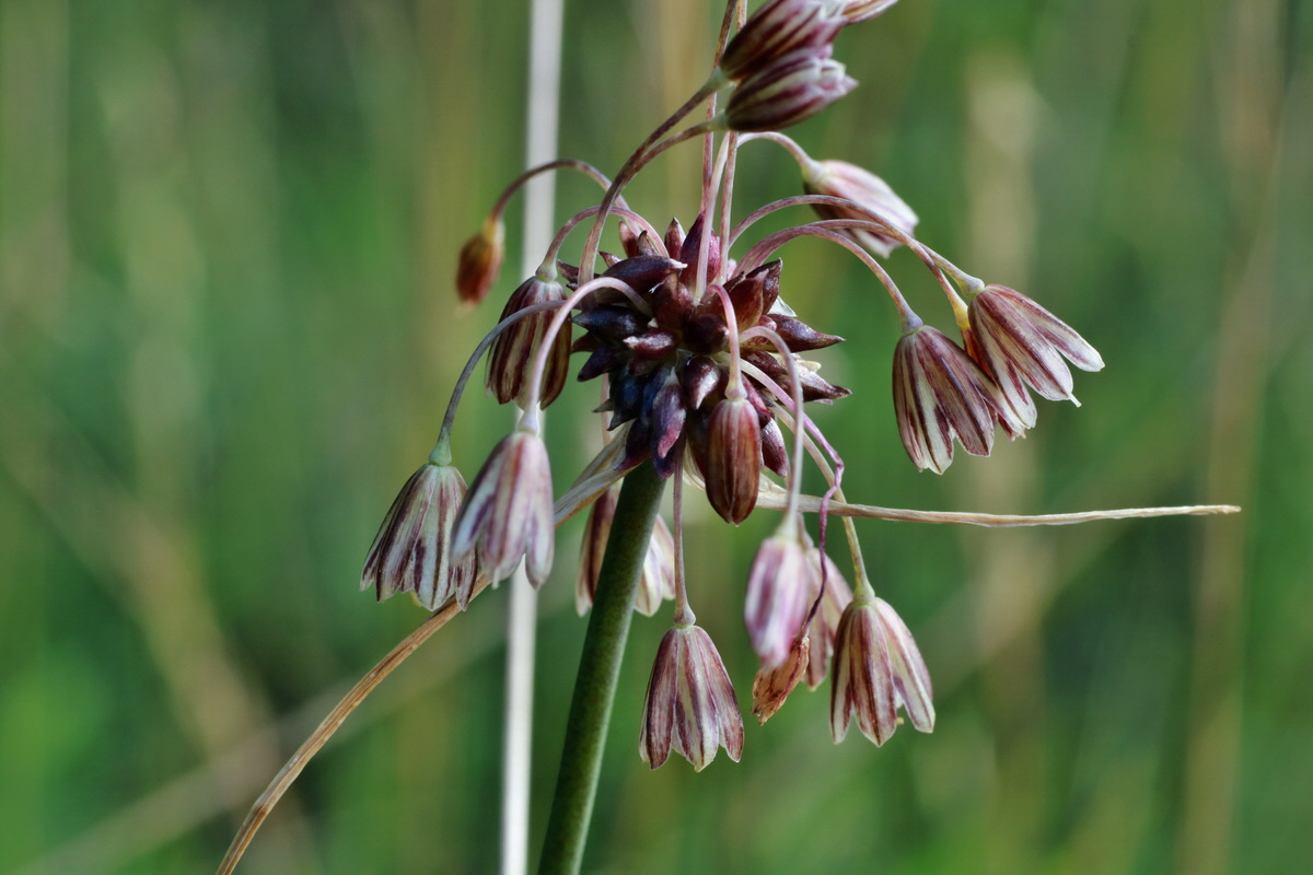 2015_07_20_008847p_Bildgr��e �ndern