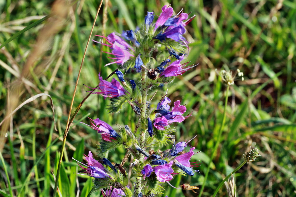 2015_07_20_008857p_Bildgr��e �ndern