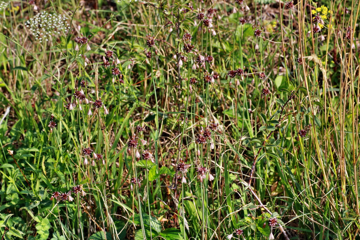 2015_07_20_008864p_Bildgr��e �ndern