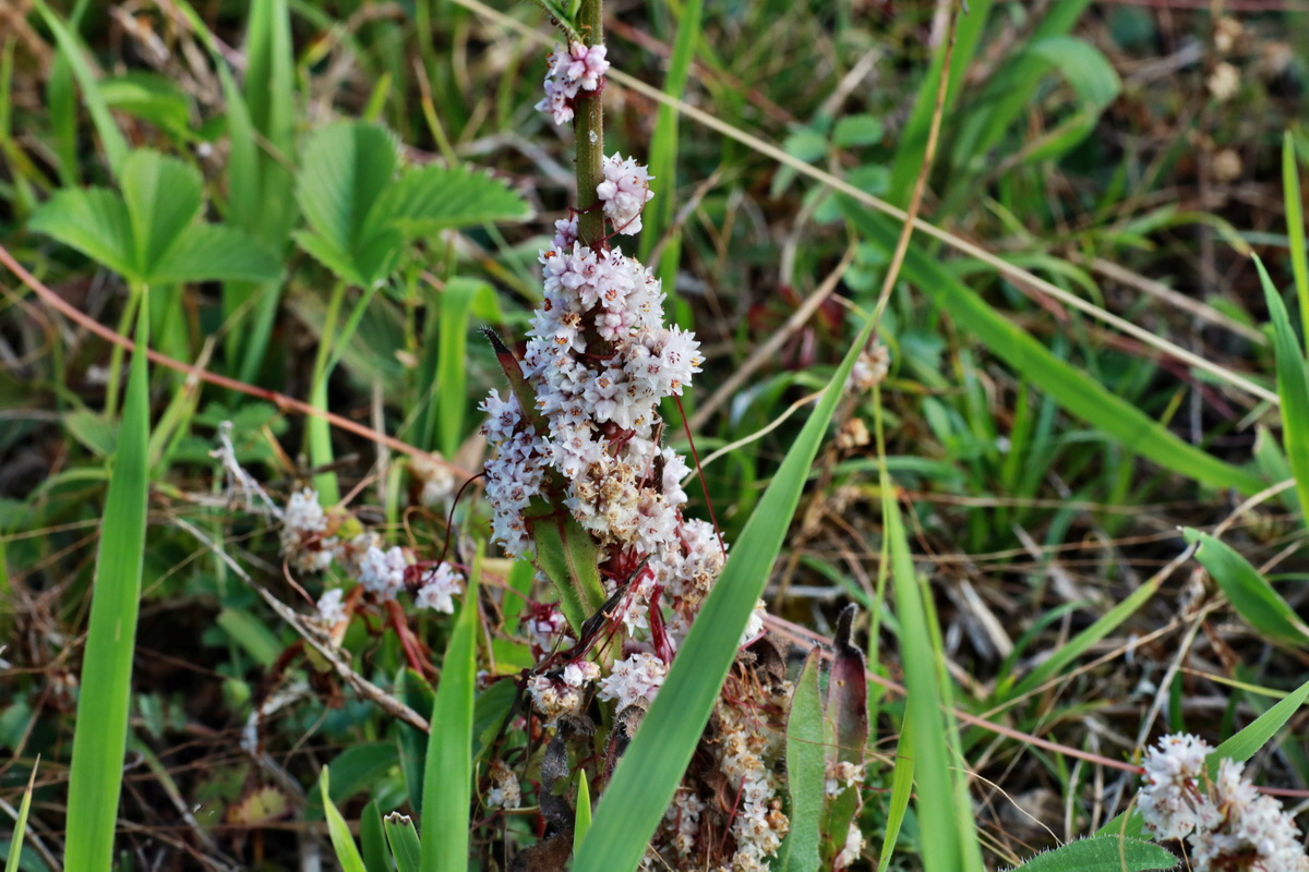 2015_07_20_008867p_Bildgr��e �ndern