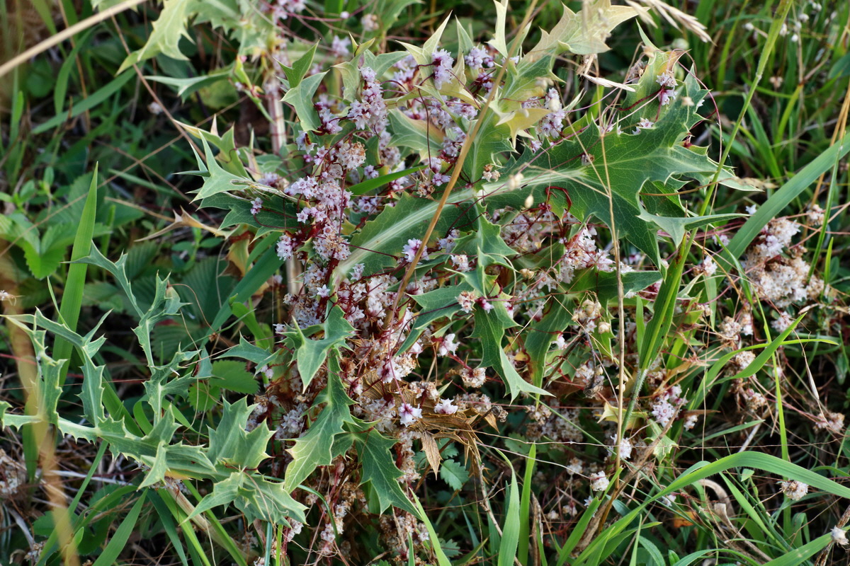 2015_07_20_008870p_Bildgr��e �ndern