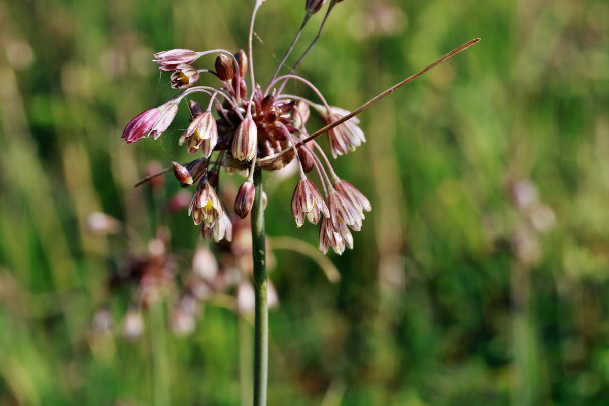 2015_07_20_008884p_Bildgr��e �ndern