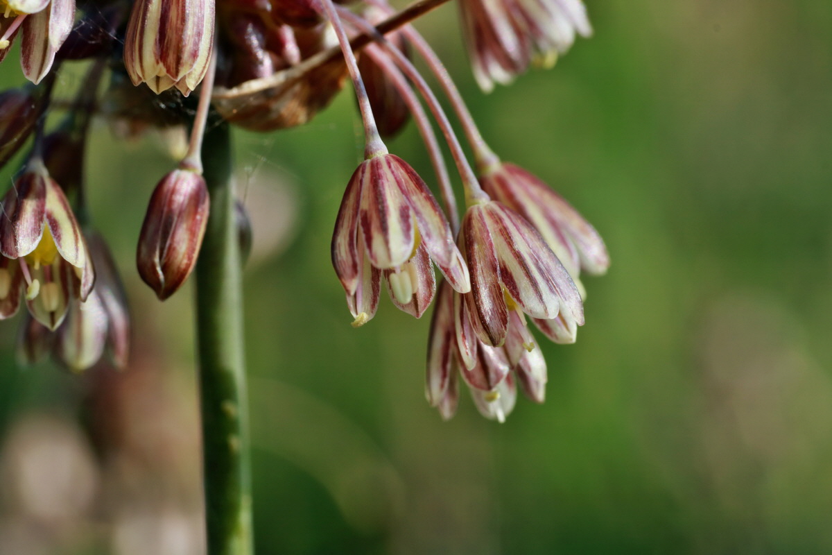 2015_07_20_008889p_Bildgr��e �ndern