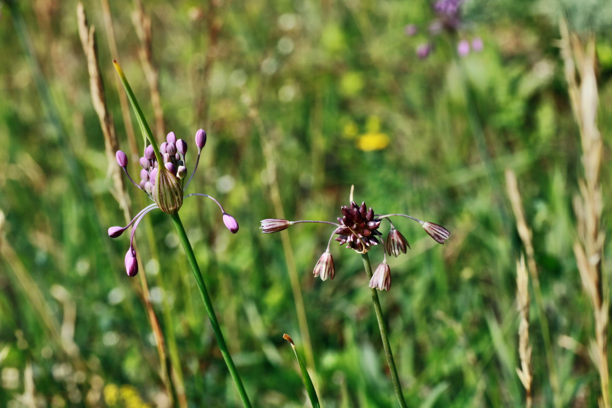 2015_07_20_008966p_Bildgr��e �ndern