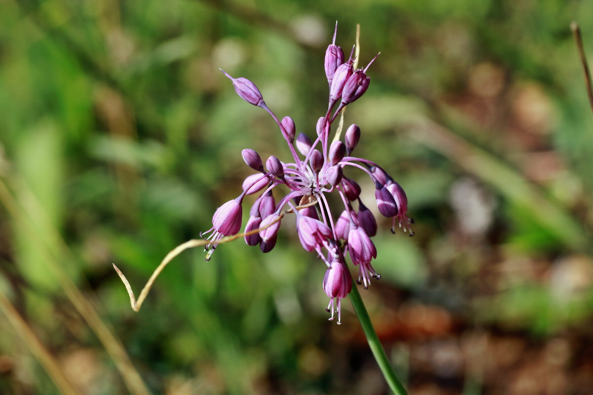 2015_07_20_008971p_Bildgr��e �ndern