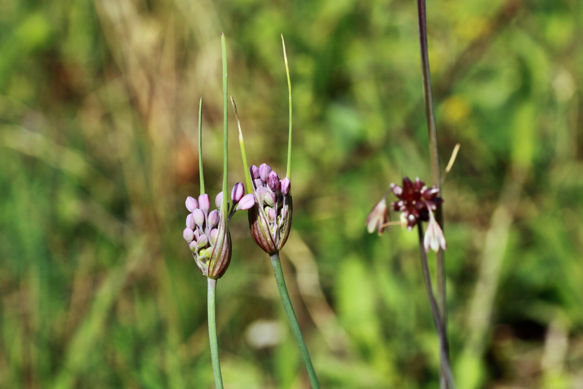 2015_07_20_008975p_Bildgr��e �ndern