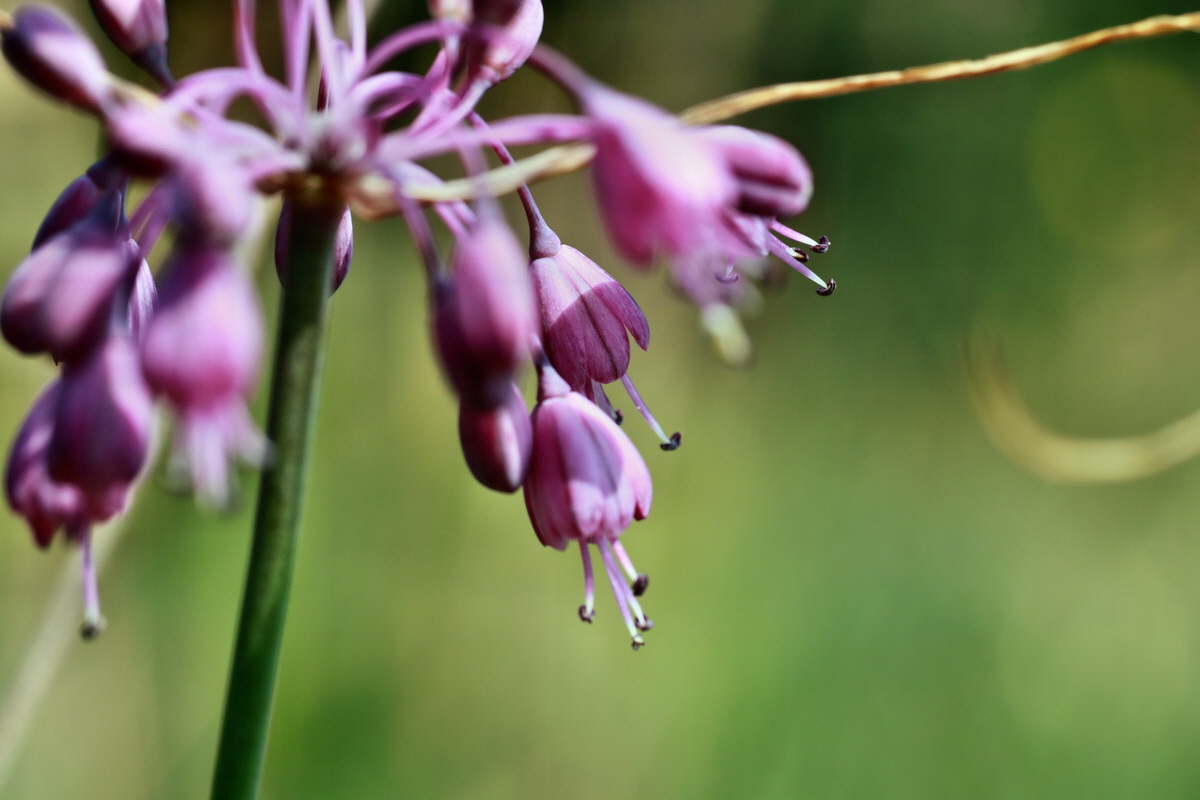 2015_07_20_008982p_Bildgr��e �ndern