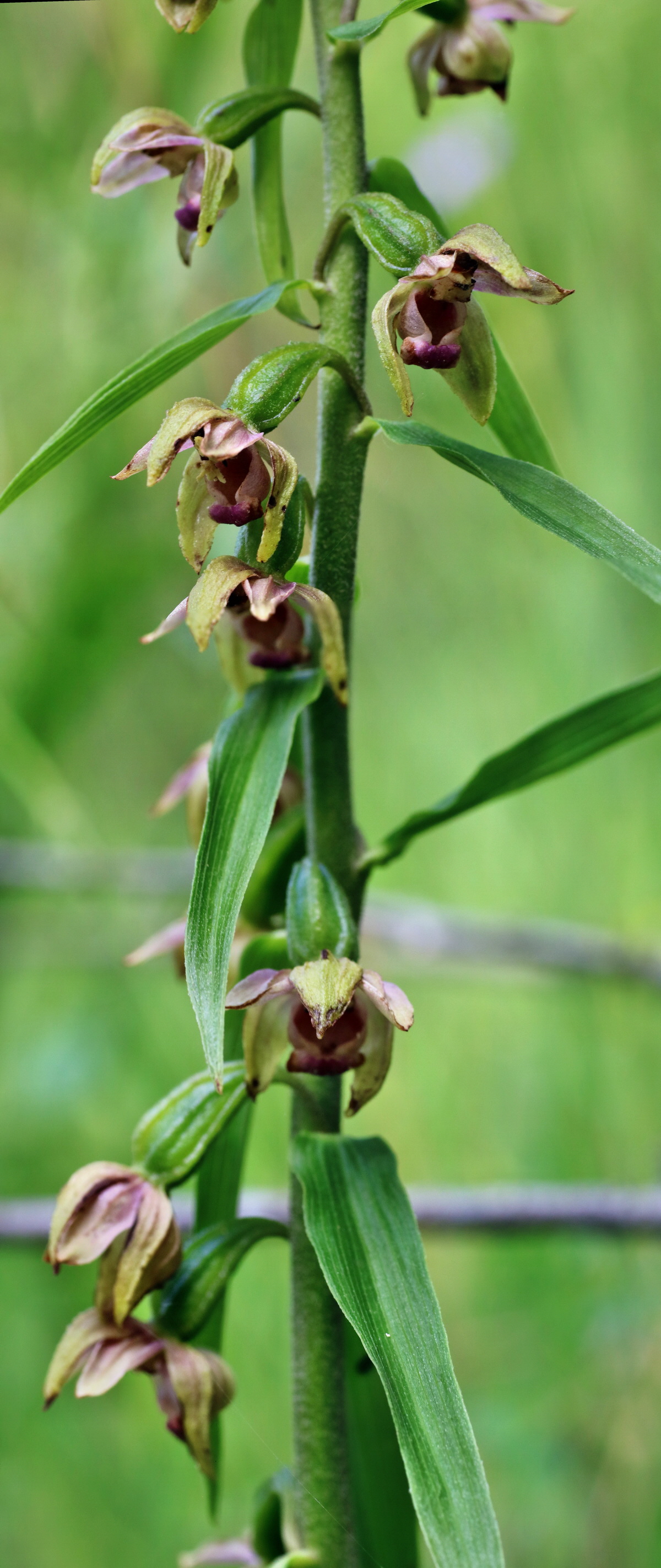 [Group 1]-IMG-2015-07-22-00006823_IMG-2015-07-22-00006825-2 imagesp_Bildgr��e �ndern