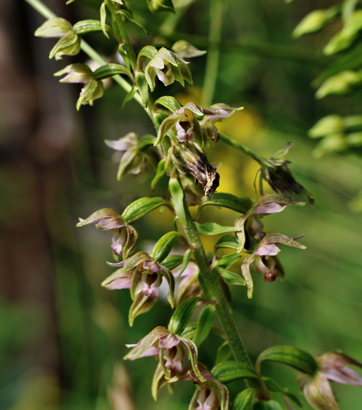 [Group 1]-IMG-2015-07-22-00006843_IMG-2015-07-22-00006848-2 imagesp_Bildgr��e �ndern