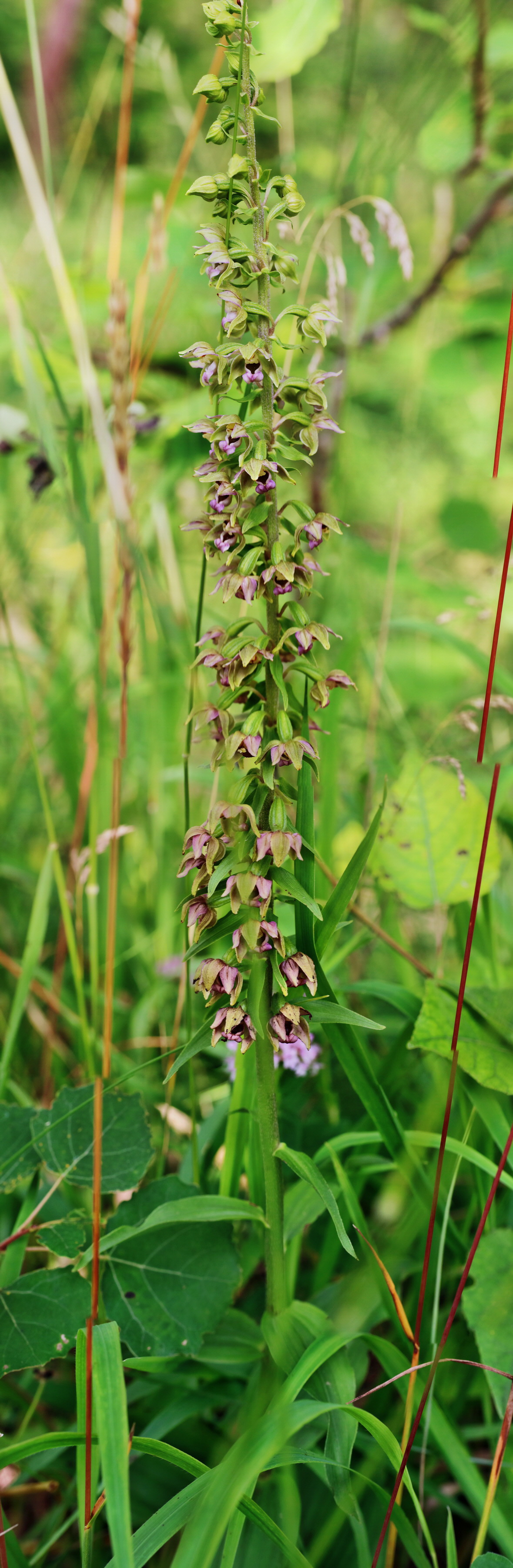 [Group 1]-IMG-2015-07-22-00006852_IMG-2015-07-22-00006863-7 imagesp_Bildgr��e �ndern