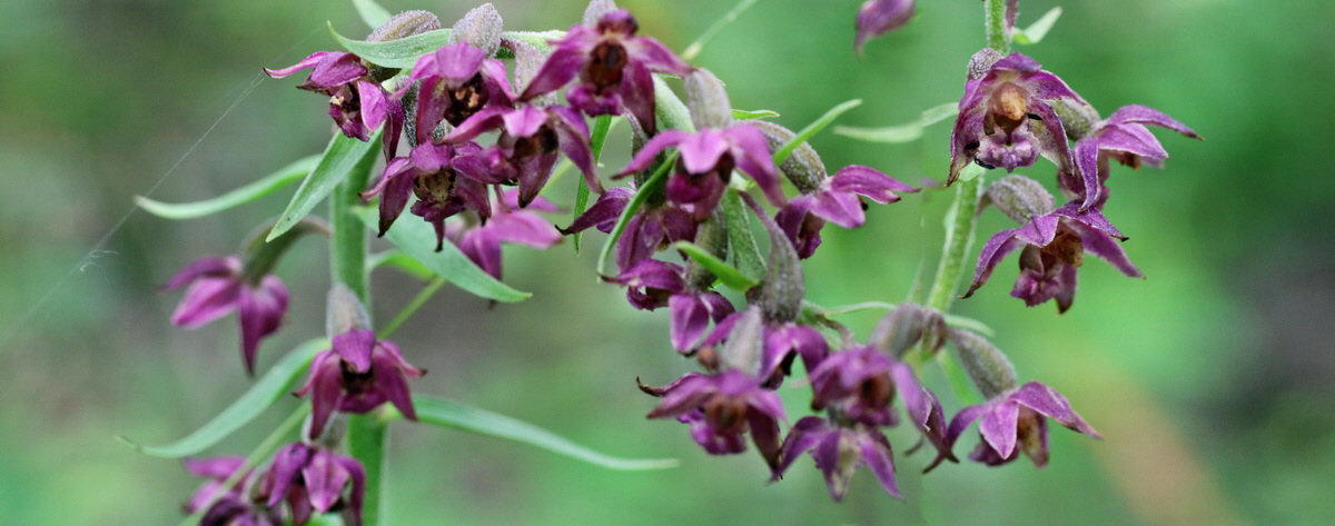 [Group 1]-IMG-2015-07-22-00006897_IMG-2015-07-22-00006901-2 imagesp_Bildgr��e �ndern