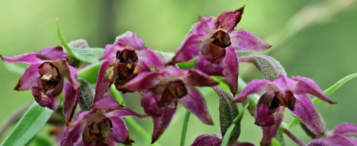 [Group 1]-IMG-2015-07-22-00006903_IMG-2015-07-22-00006909-7 imagesp_Bildgr��e �ndern