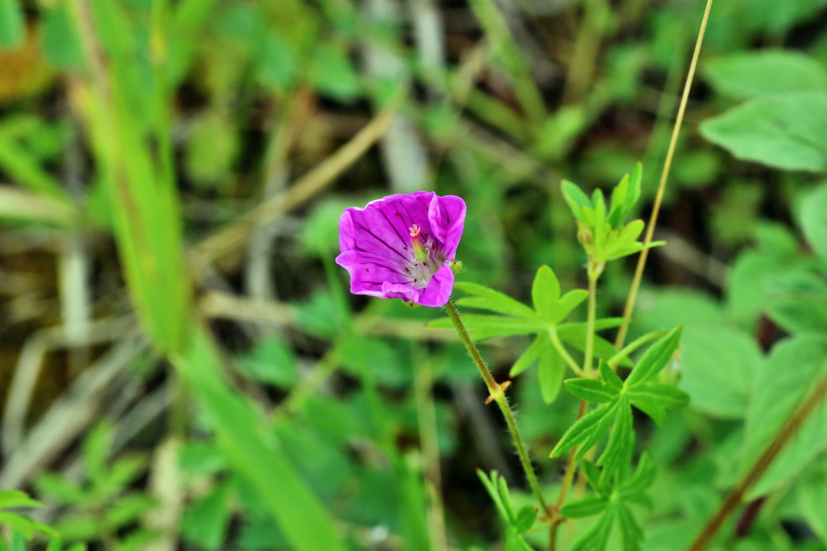 IMG-2015-07-22-00006771p_Bildgr��e �ndern