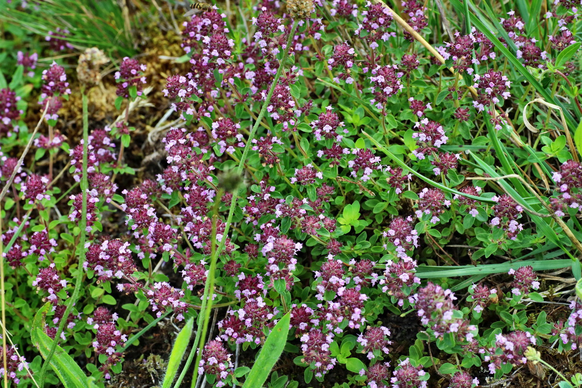 IMG-2015-07-22-00006773p_Bildgr��e �ndern