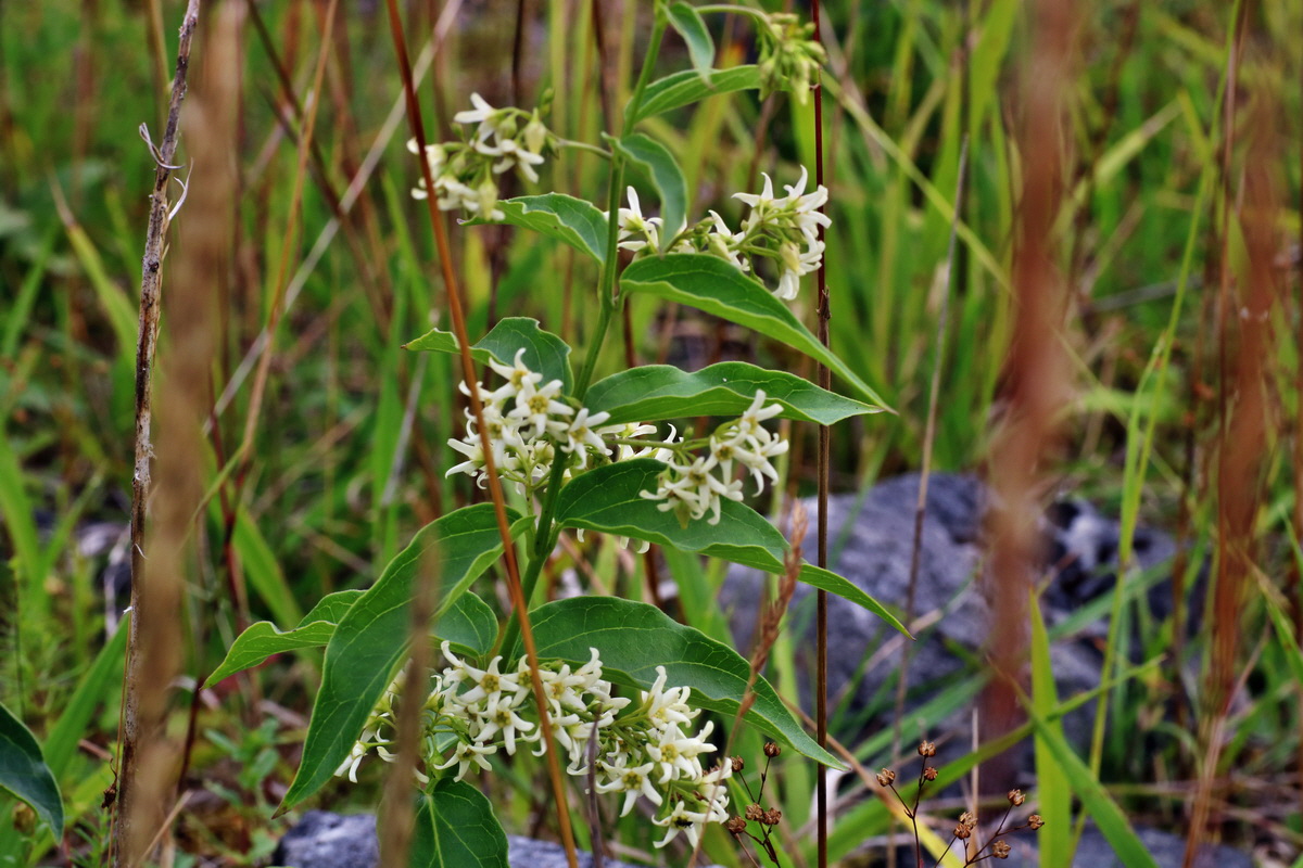 IMG-2015-07-22-00006776p_Bildgr��e �ndern