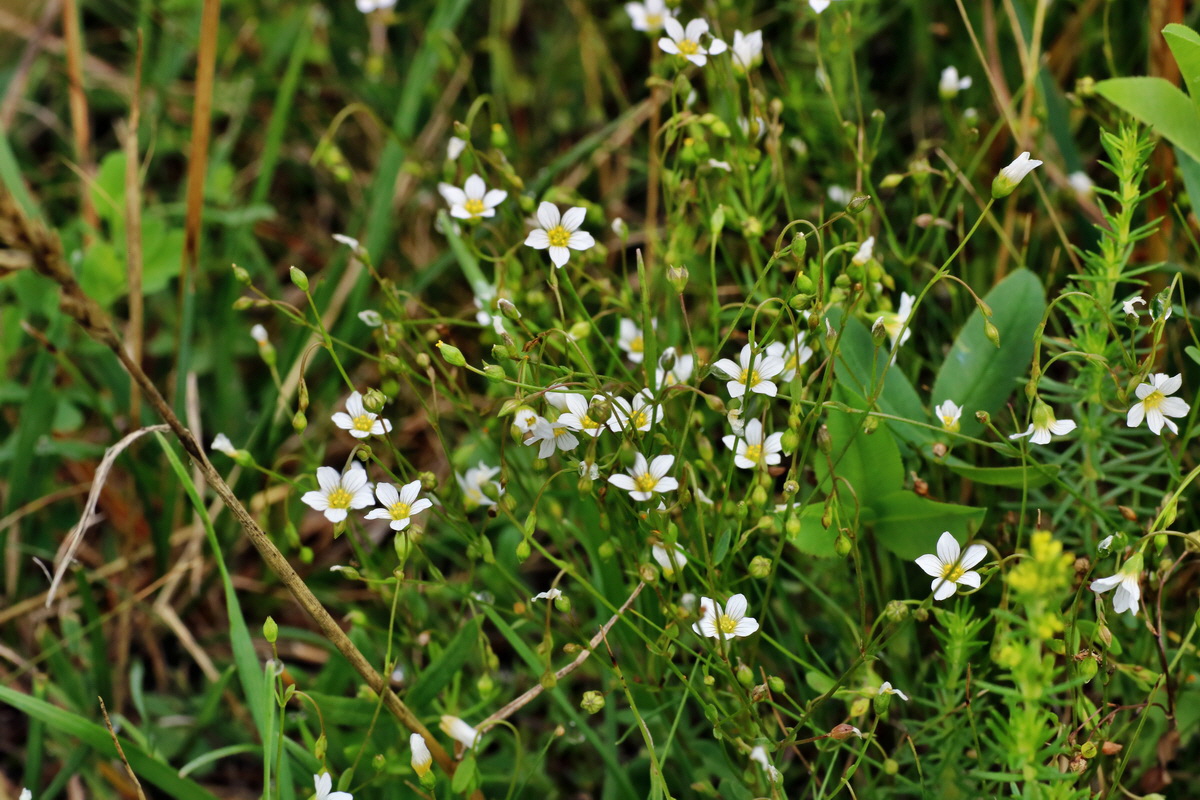 IMG-2015-07-22-00006777p_Bildgr��e �ndern