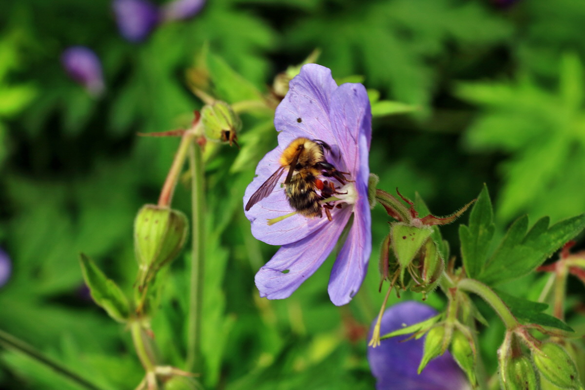 IMG-2015-07-22-00006795p_Bildgr��e �ndern