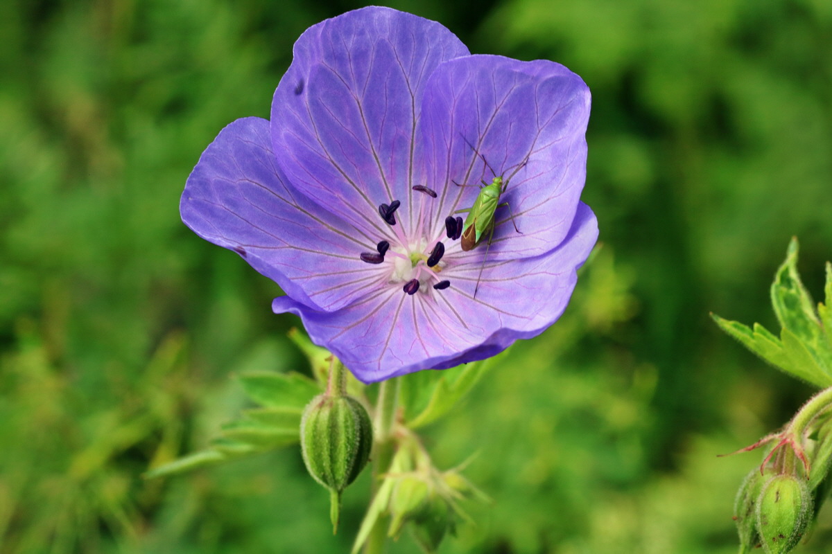 IMG-2015-07-22-00006797p_Bildgr��e �ndern