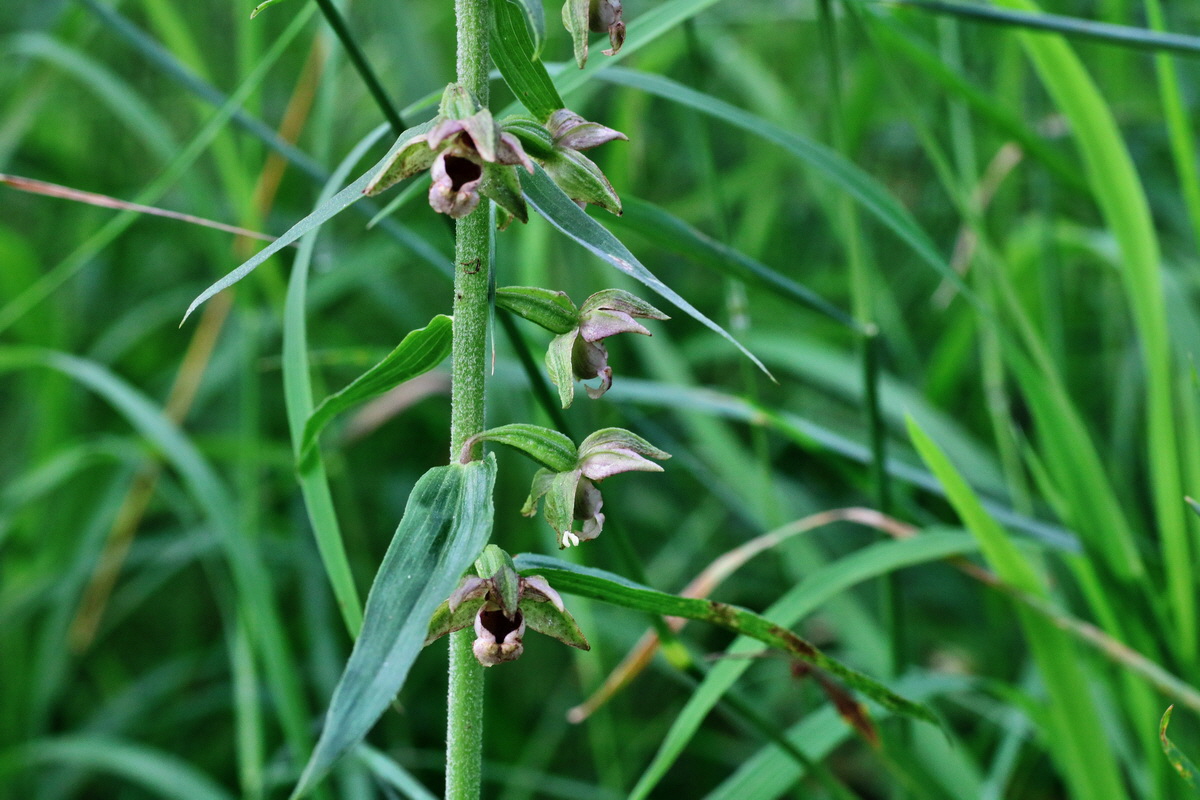 IMG-2015-07-22-00006809p_Bildgr��e �ndern