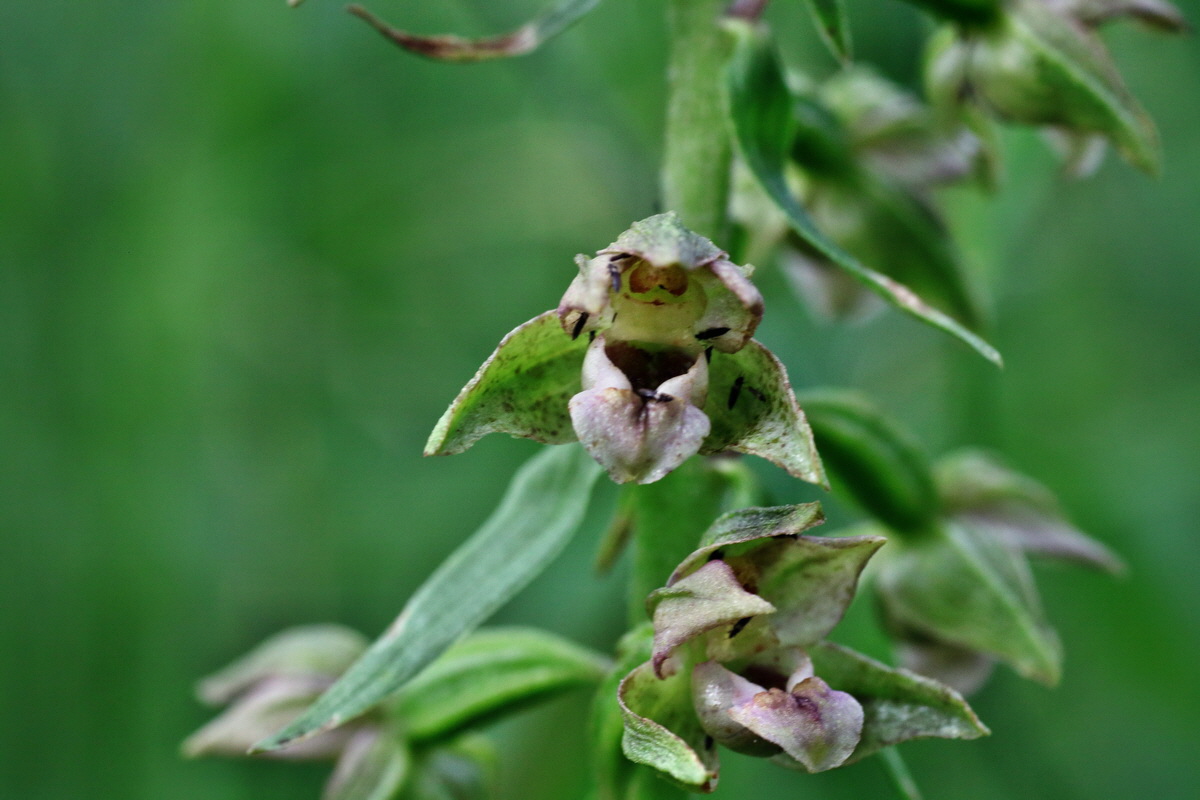 IMG-2015-07-22-00006811p_Bildgr��e �ndern