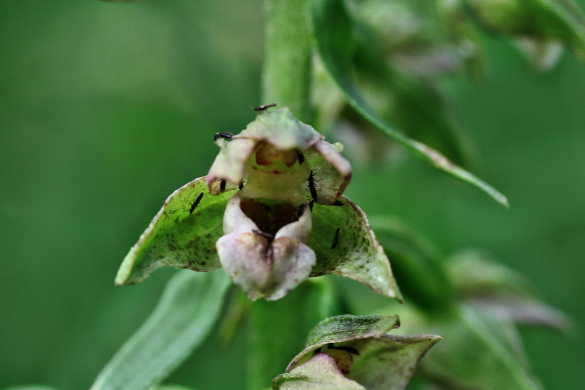 IMG-2015-07-22-00006813p_Bildgr��e �ndern