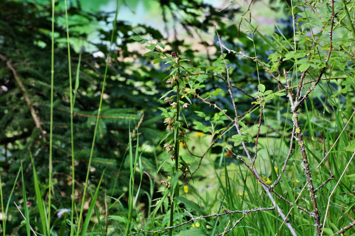 IMG-2015-07-22-00006817p_Bildgr��e �ndern