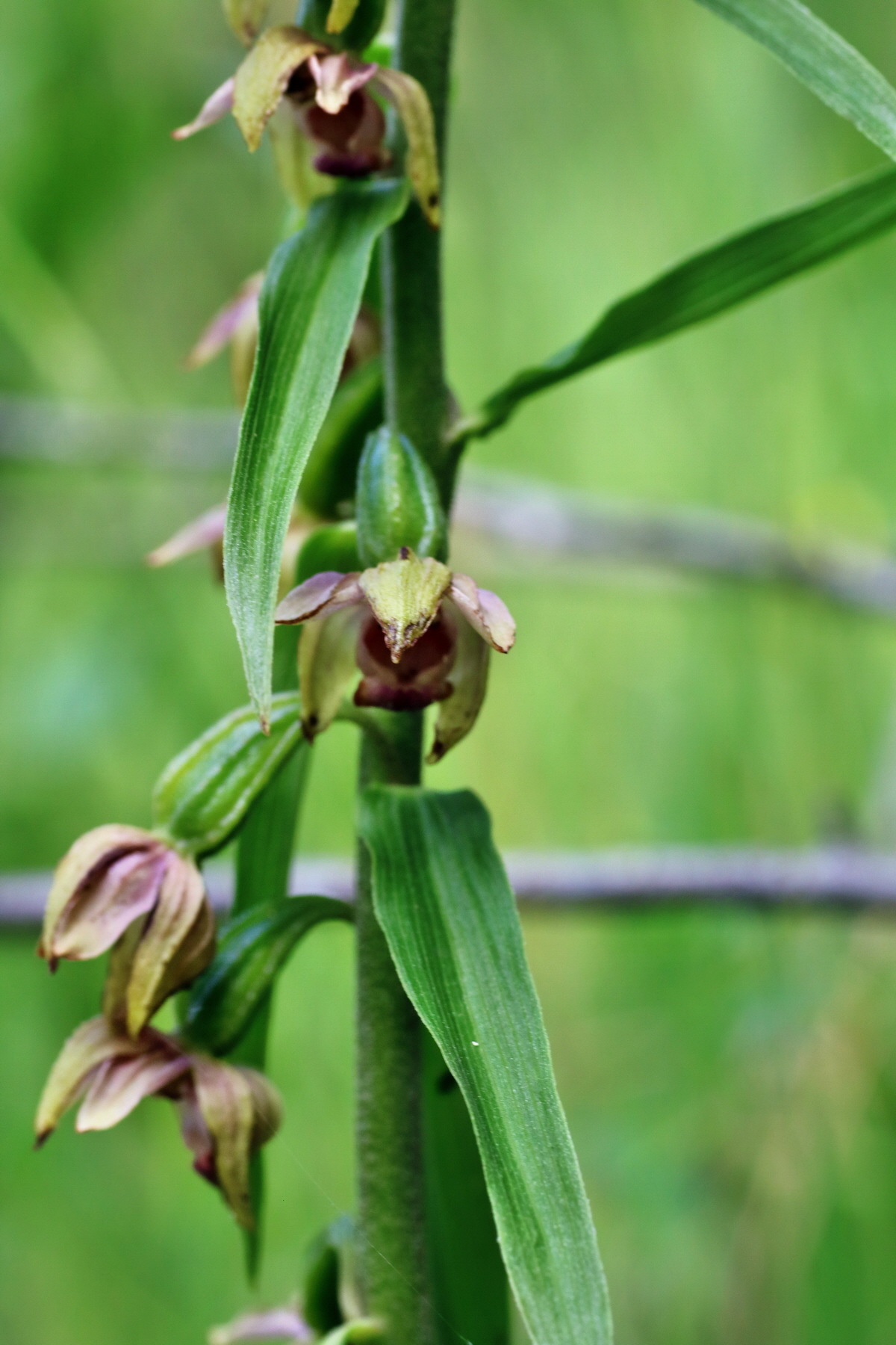 IMG-2015-07-22-00006824p_Bildgr��e �ndern