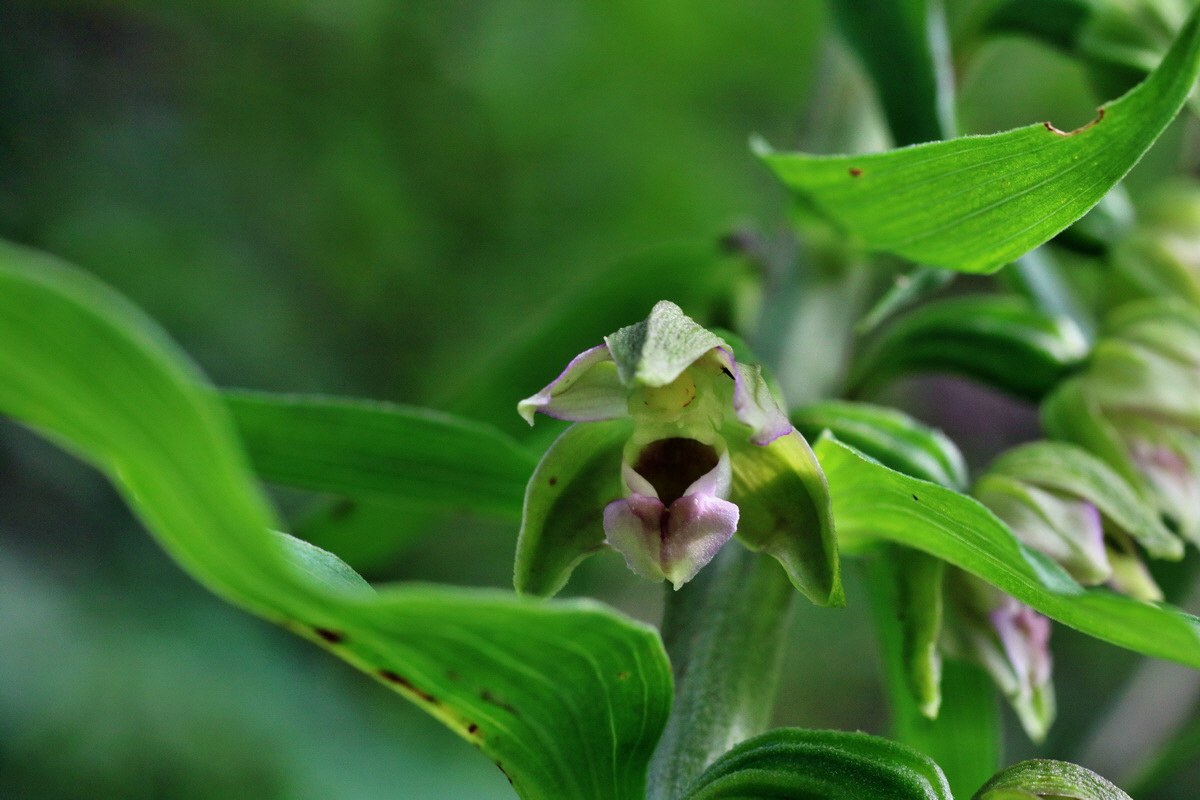 IMG-2015-07-22-00006833p_Bildgr��e �ndern