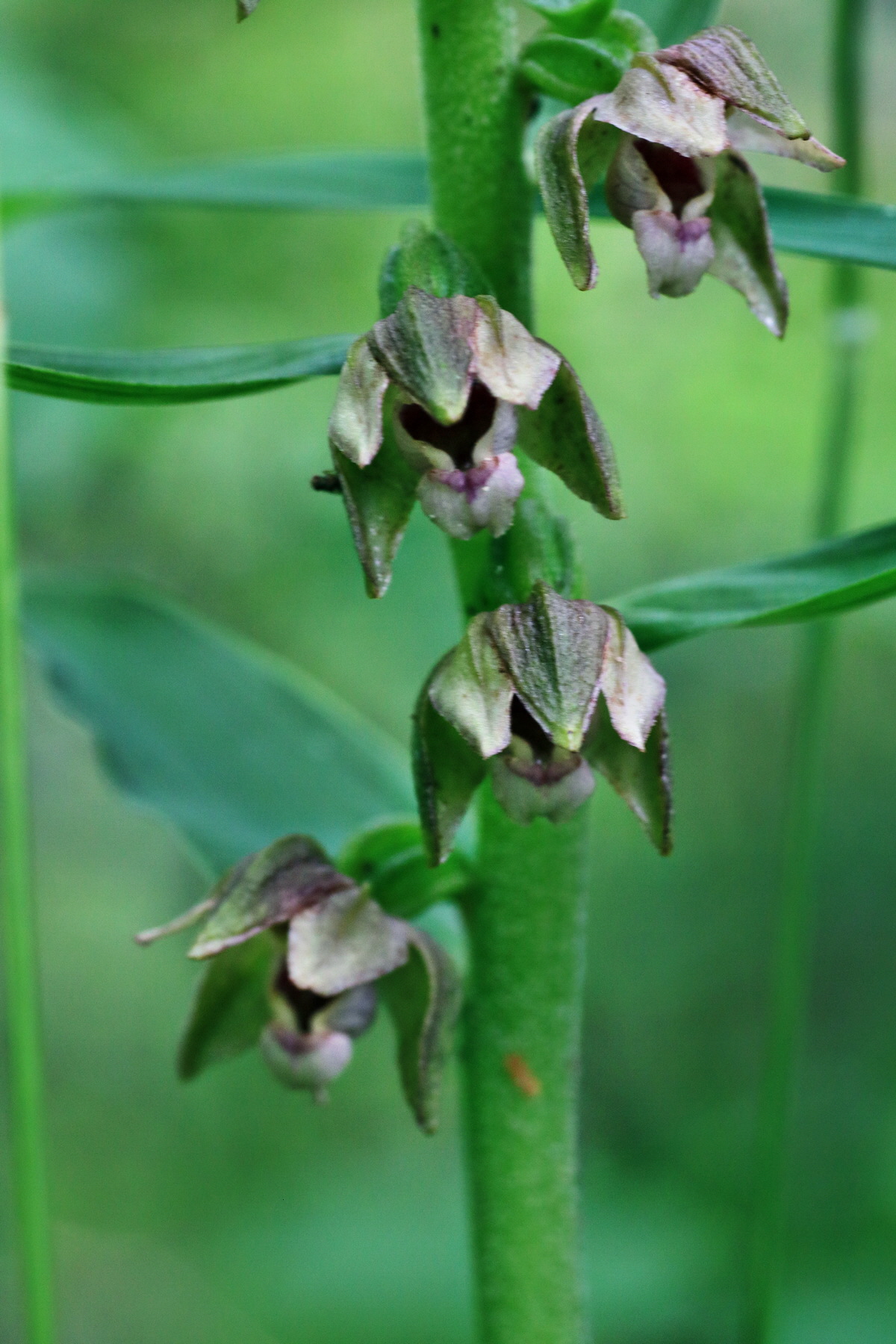 IMG-2015-07-22-00006838p_Bildgr��e �ndern