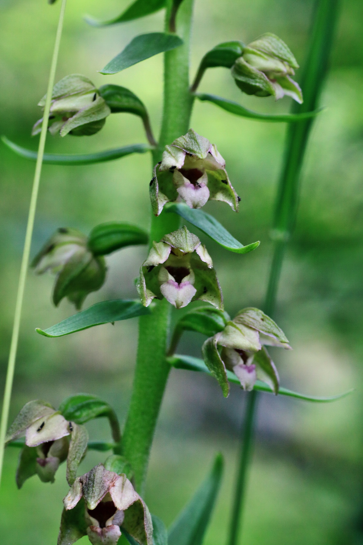 IMG-2015-07-22-00006841p_Bildgr��e �ndern