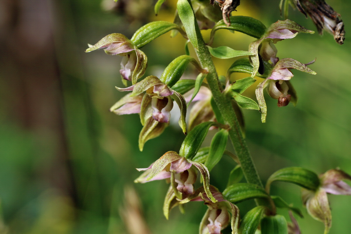 IMG-2015-07-22-00006844p_Bildgr��e �ndern