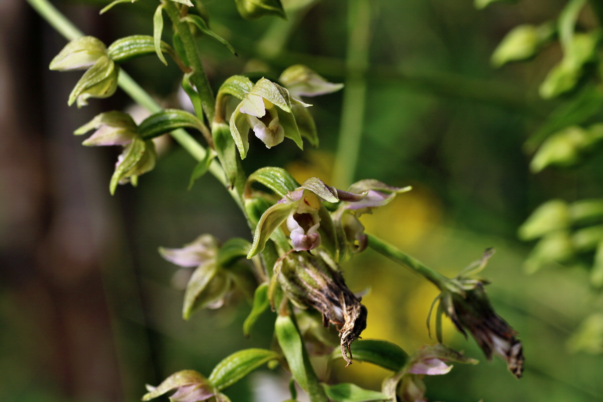 IMG-2015-07-22-00006847p_Bildgr��e �ndern