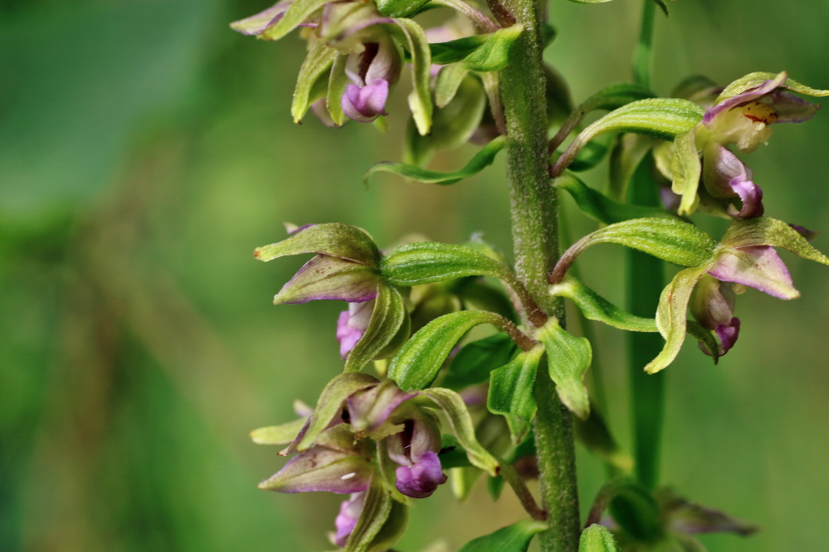 IMG-2015-07-22-00006849p_Bildgr��e �ndern