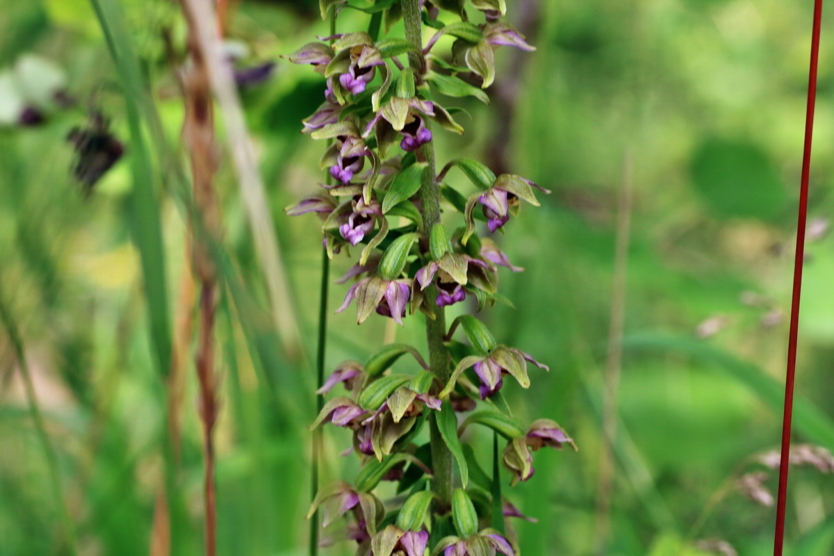 IMG-2015-07-22-00006859p_Bildgr��e �ndern