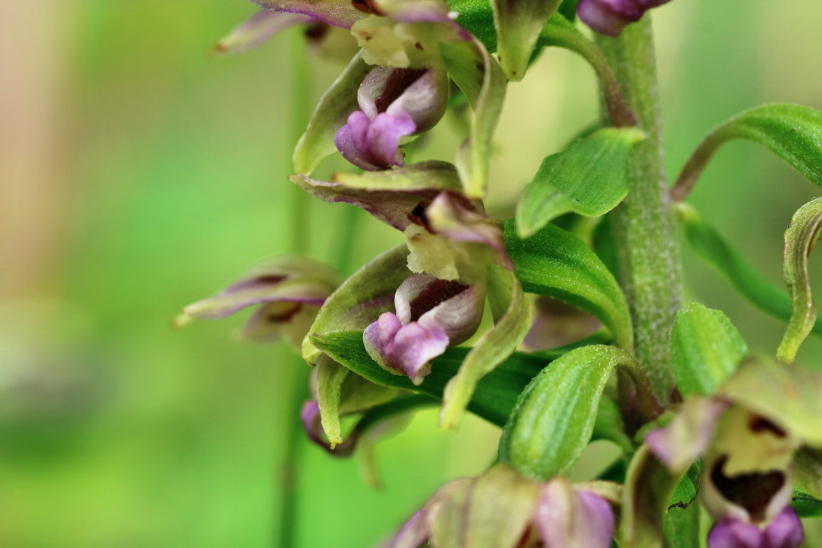 IMG-2015-07-22-00006865p_Bildgr��e �ndern