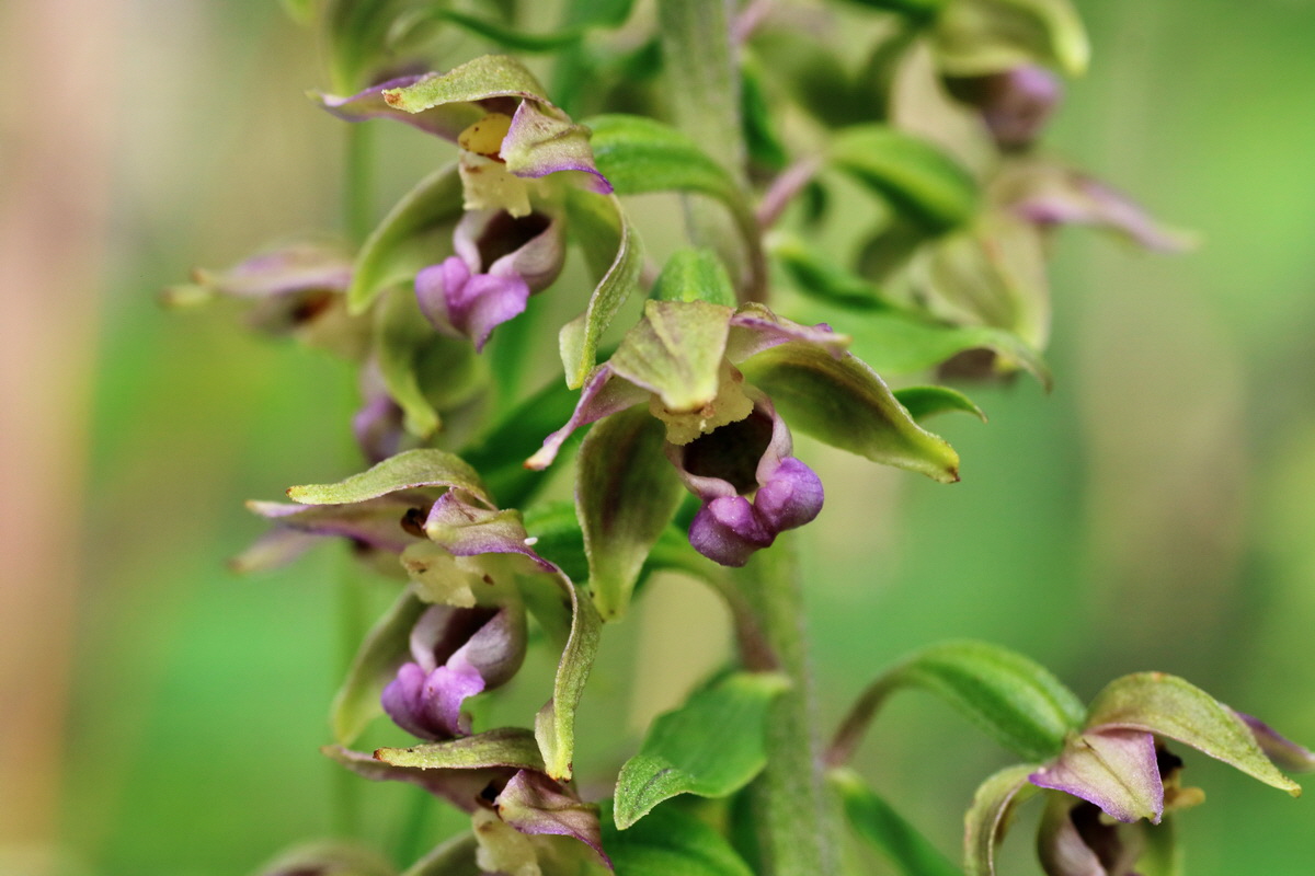 IMG-2015-07-22-00006869p_Bildgr��e �ndern